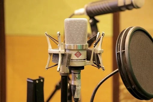 mic-dub