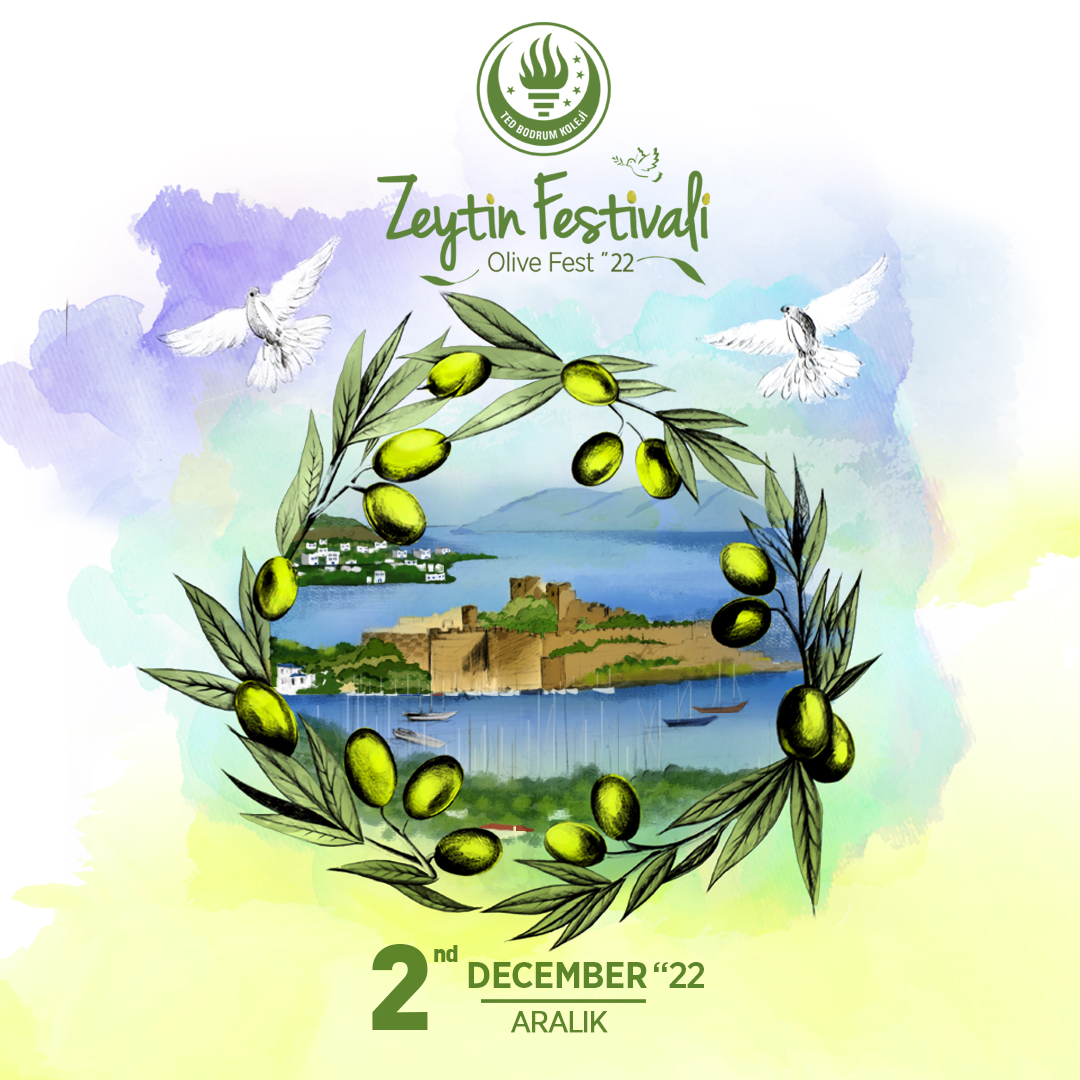 zeytin festivali post copy